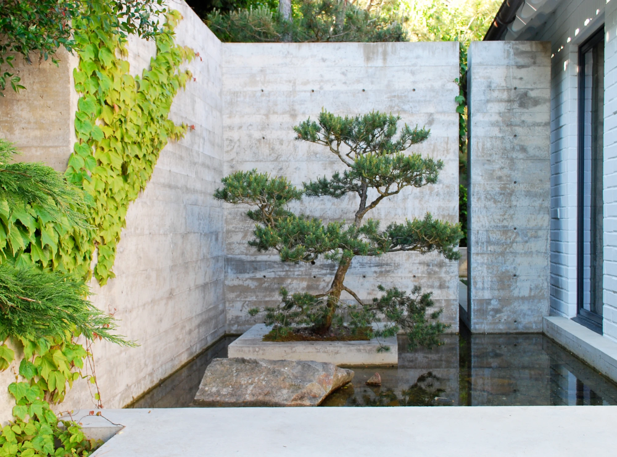 Where can I get some?